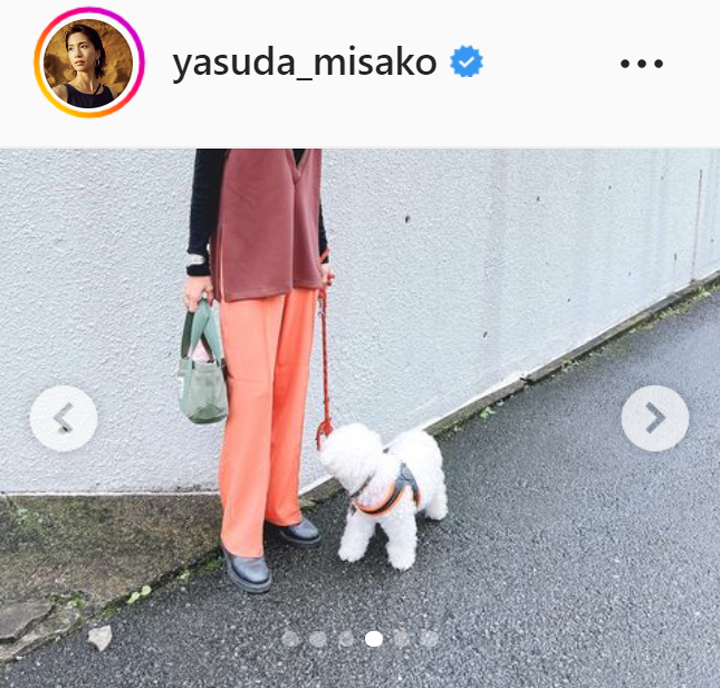 安田美沙子の愛犬「はんな」（安田美沙子のインスタグラムより）