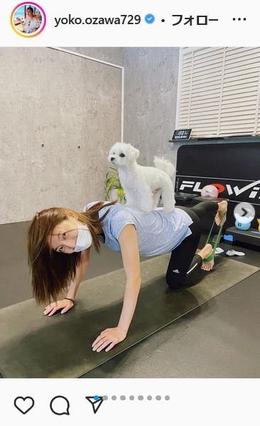 小澤陽子アナのインスタグラムより