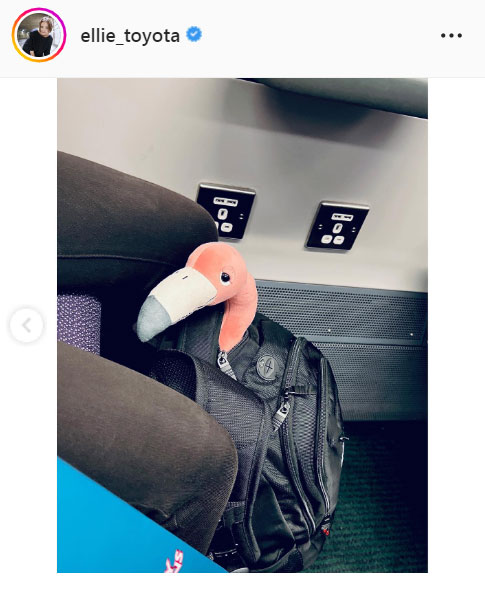 豊田エリーのインスタグラムより