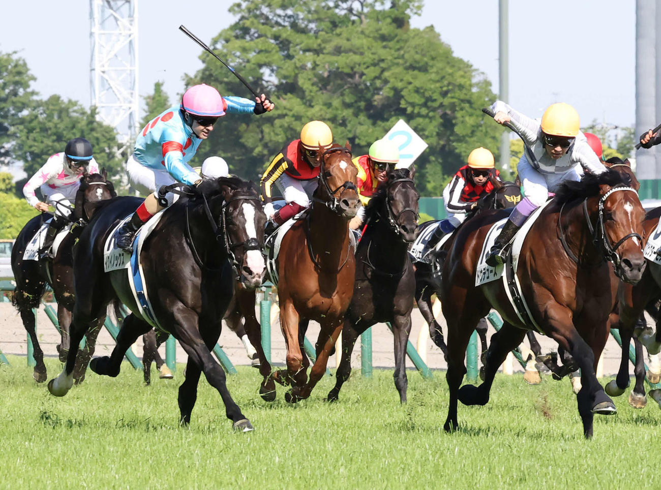 ダービー2着に敗れたイクイノックス（左）。右は勝ったドウデュース（2022年5月29日撮影）