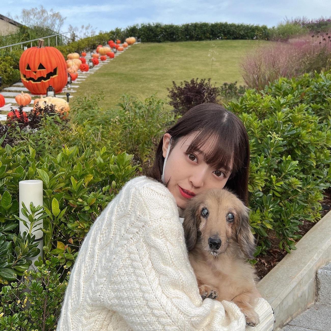 乃木坂46阪口珠美が愛犬とのキュートなカメラ目線ショット公開「珍しく