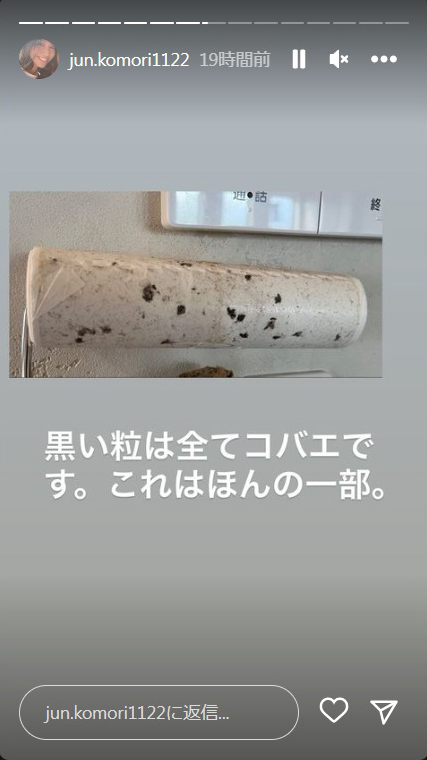 小森純のインスタグラムのストーリーズより