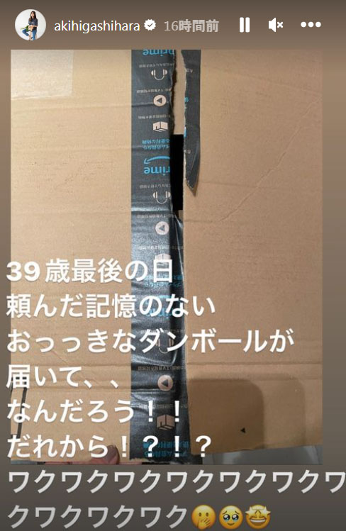 東原亜希のインスタグラム・ストーリーズより