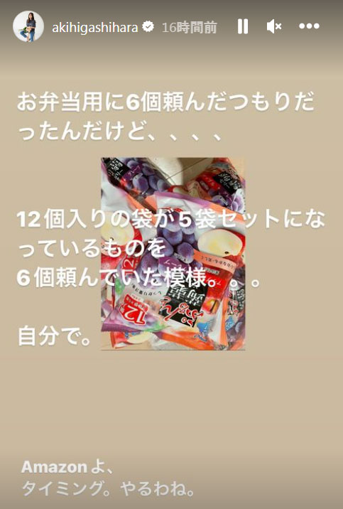 東原亜希のインスタグラム・ストーリーズより