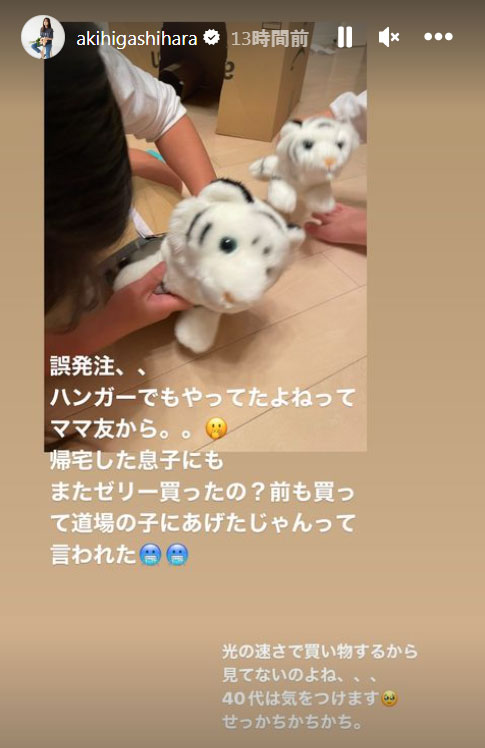東原亜希のインスタグラム・ストーリーズより