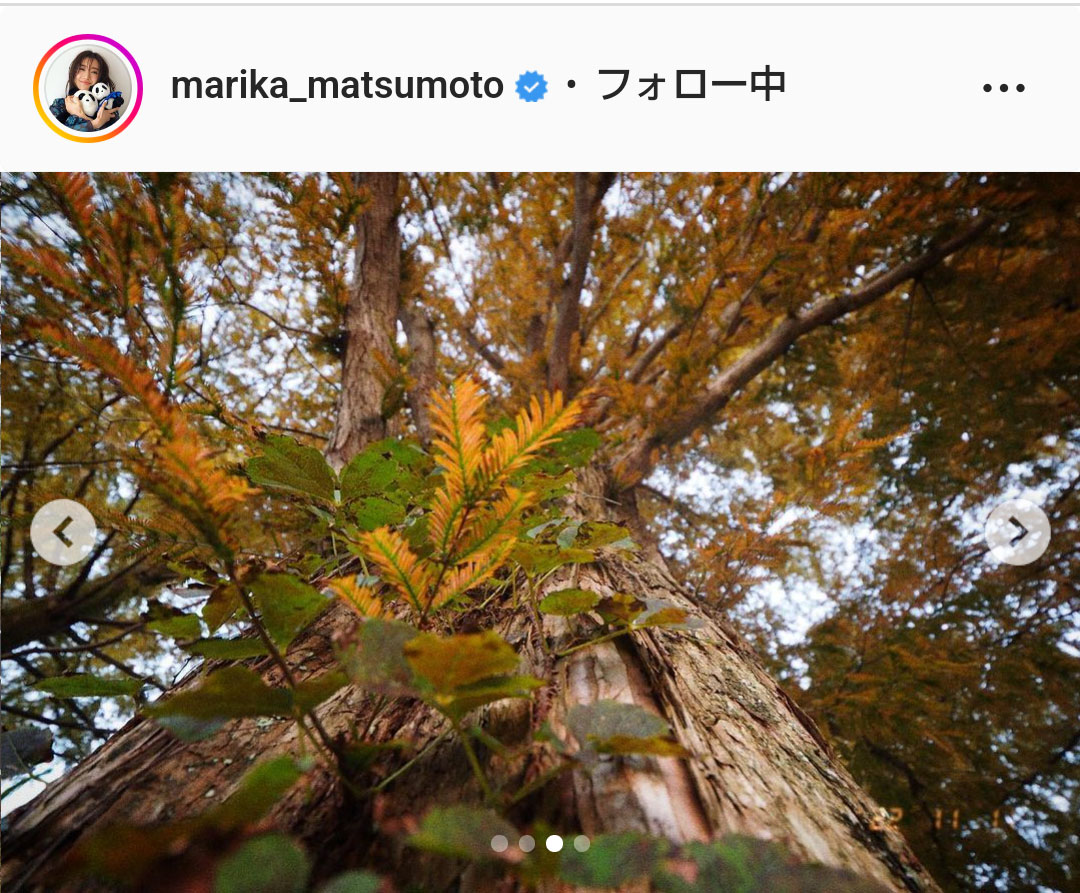 松本まりかのインスタグラムより