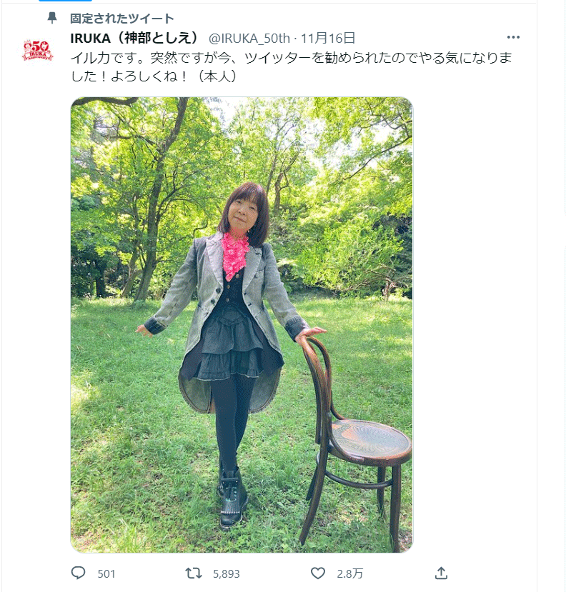 ツイッターを開設したイルカ（Twitterより）