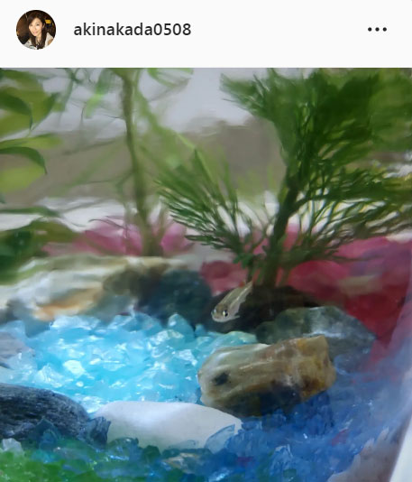中田有紀アナのインスタグラムより