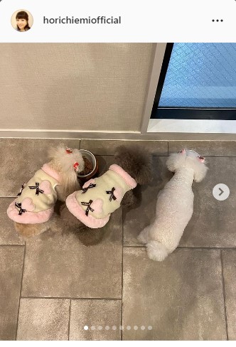 堀ちえみのインスタグラムより