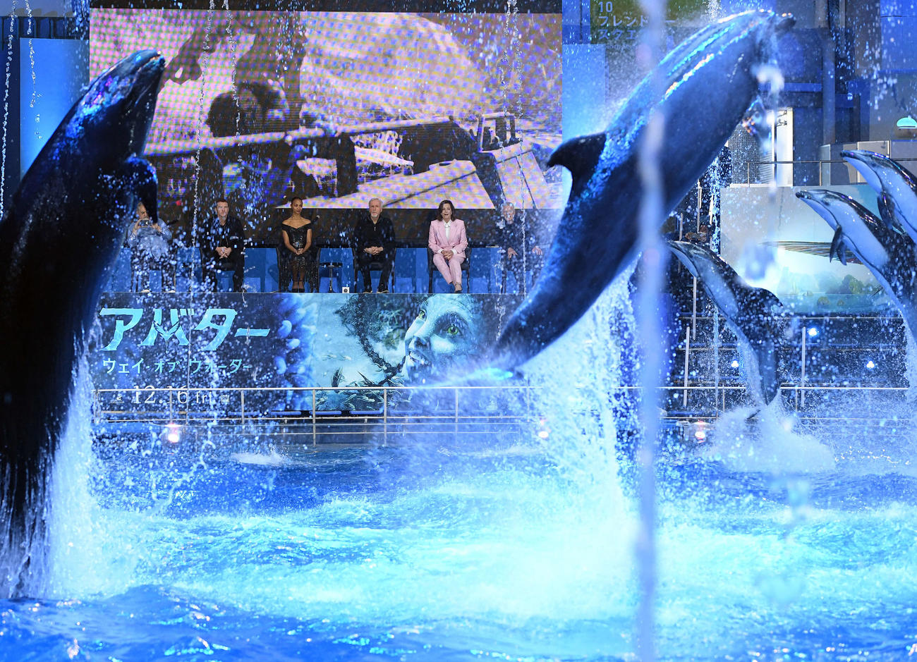 映画「アバター：ウェイ・オブ・ウォーター」の来日会見を前にドルフィンSHOWを堪能した出演者（撮影・たえ見朱実）