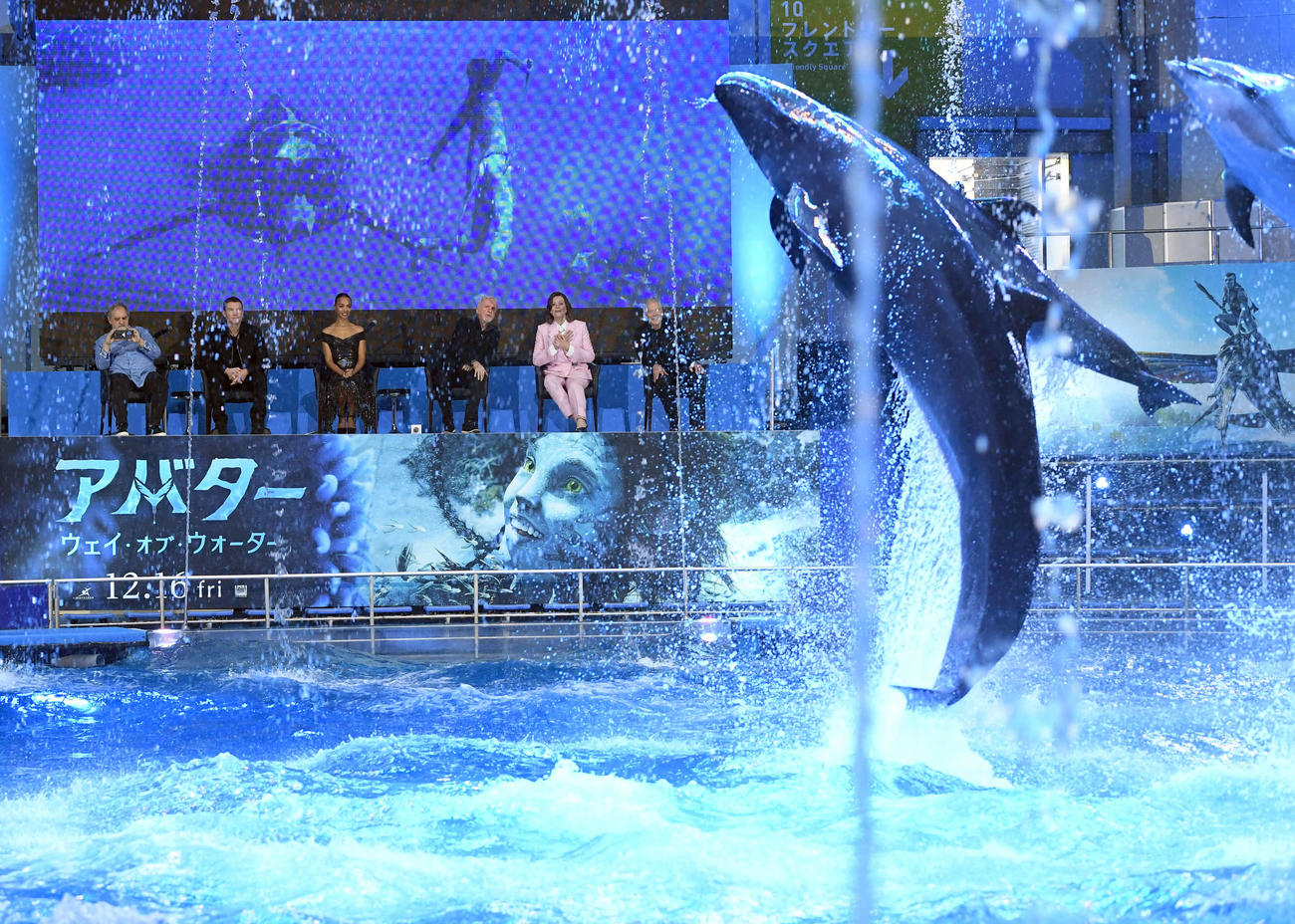 映画「アバター：ウェイ・オブ・ウォーター」の来日会見を前にドルフィンSHOWを堪能した出演者（撮影・たえ見朱実）