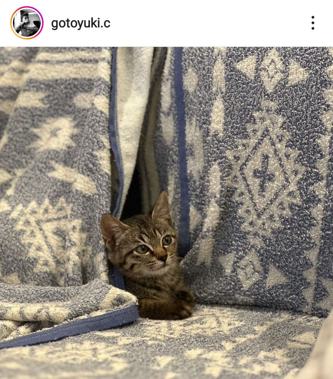 後藤祐樹のインスタグラムより