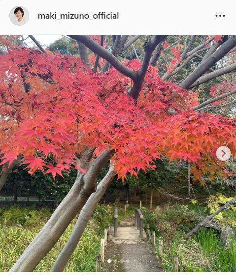 水野真紀のインスタグラムより