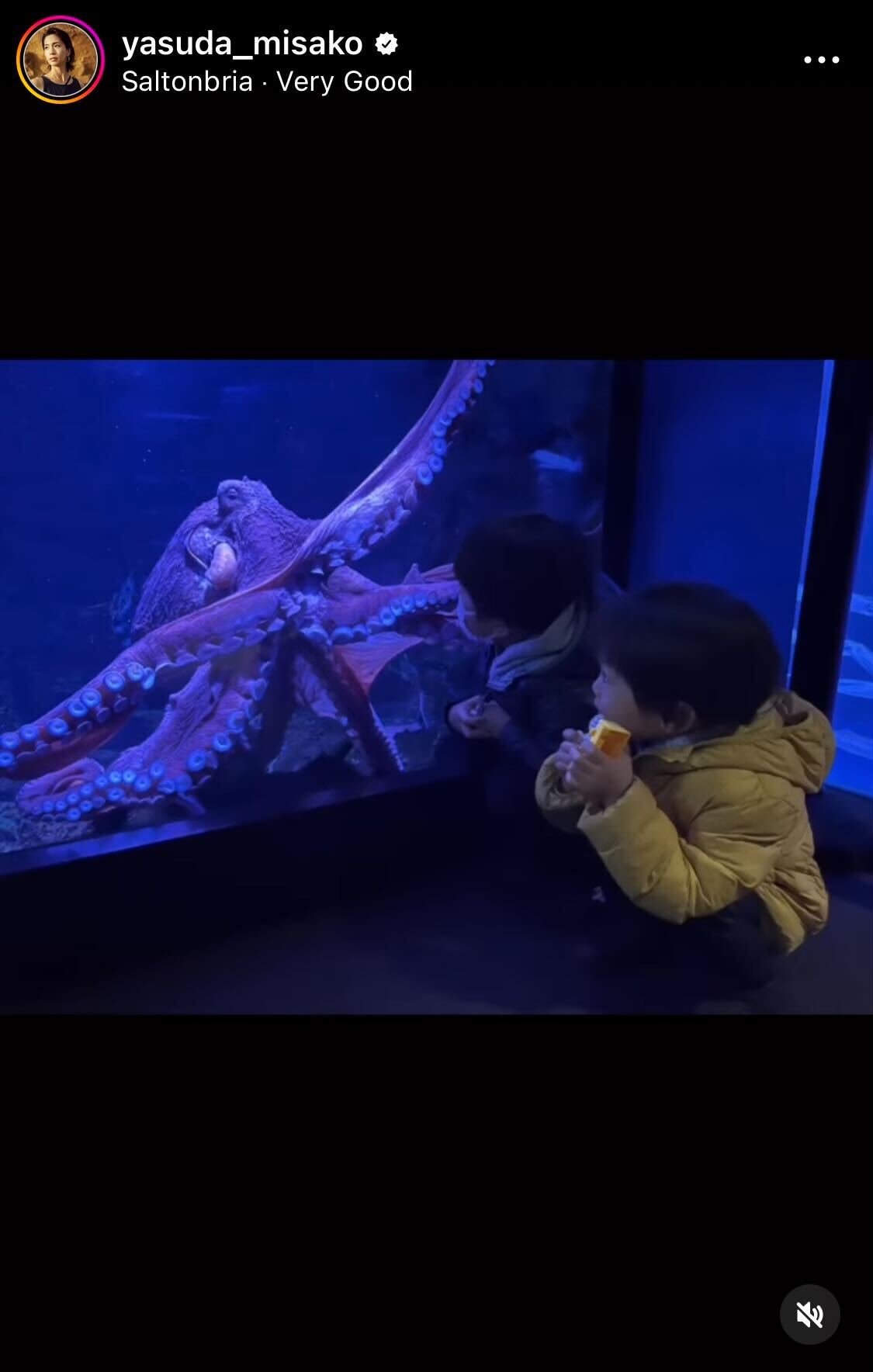 正月を水族館で過ごした安田美沙子一家（安田美沙子のインスタグラムより）