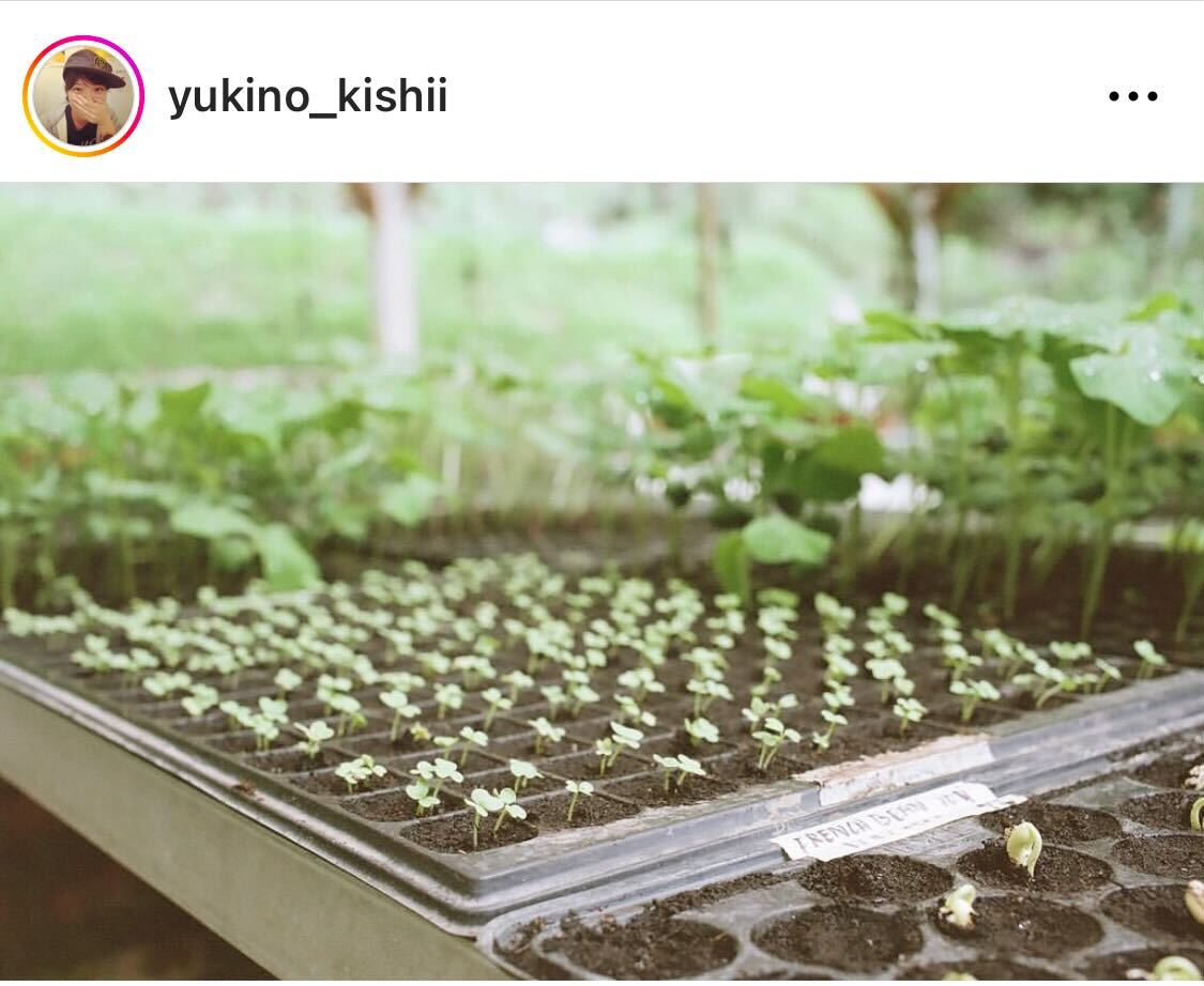 収穫前の野菜に見入る岸井ゆきの（岸井ゆきののインスタグラムより）