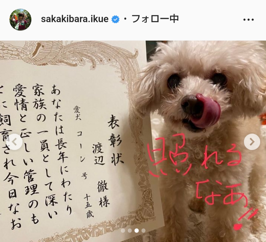 榊原郁恵のインスタグラムより