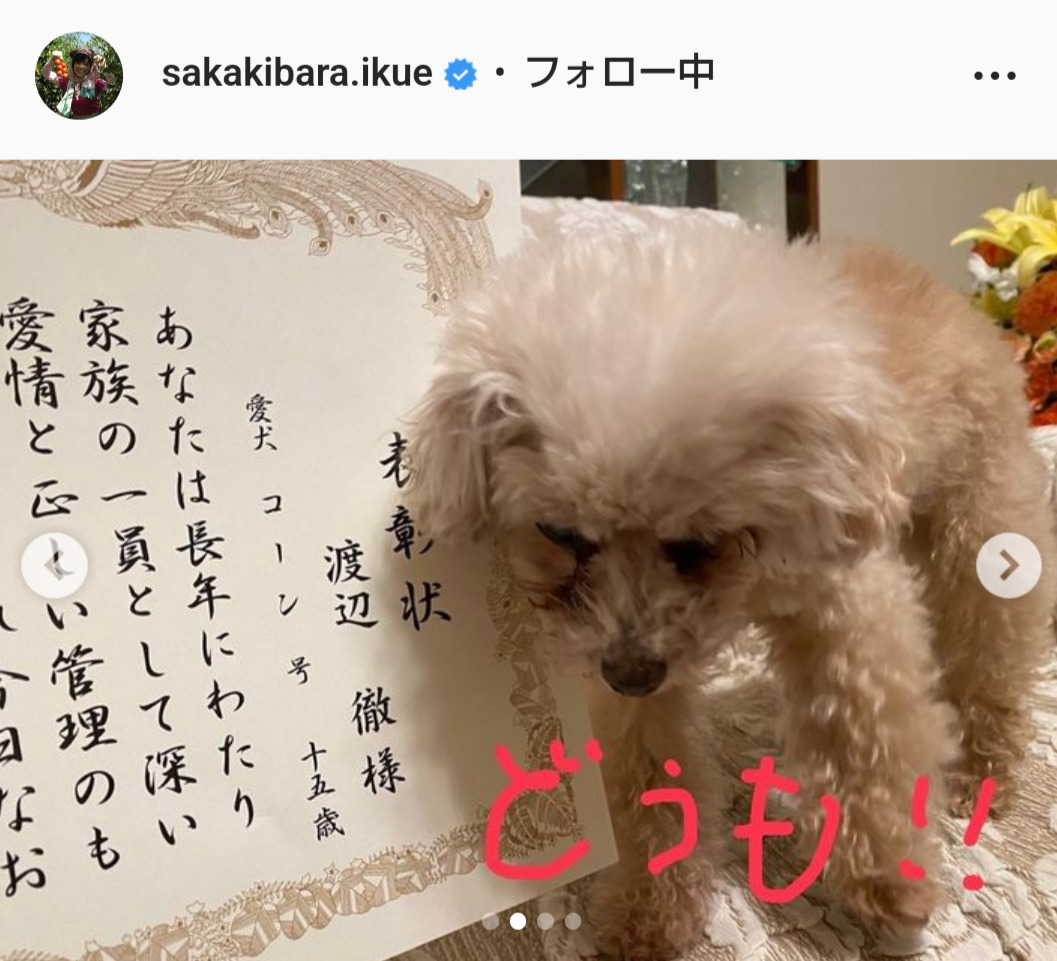 榊原郁恵のインスタグラムより