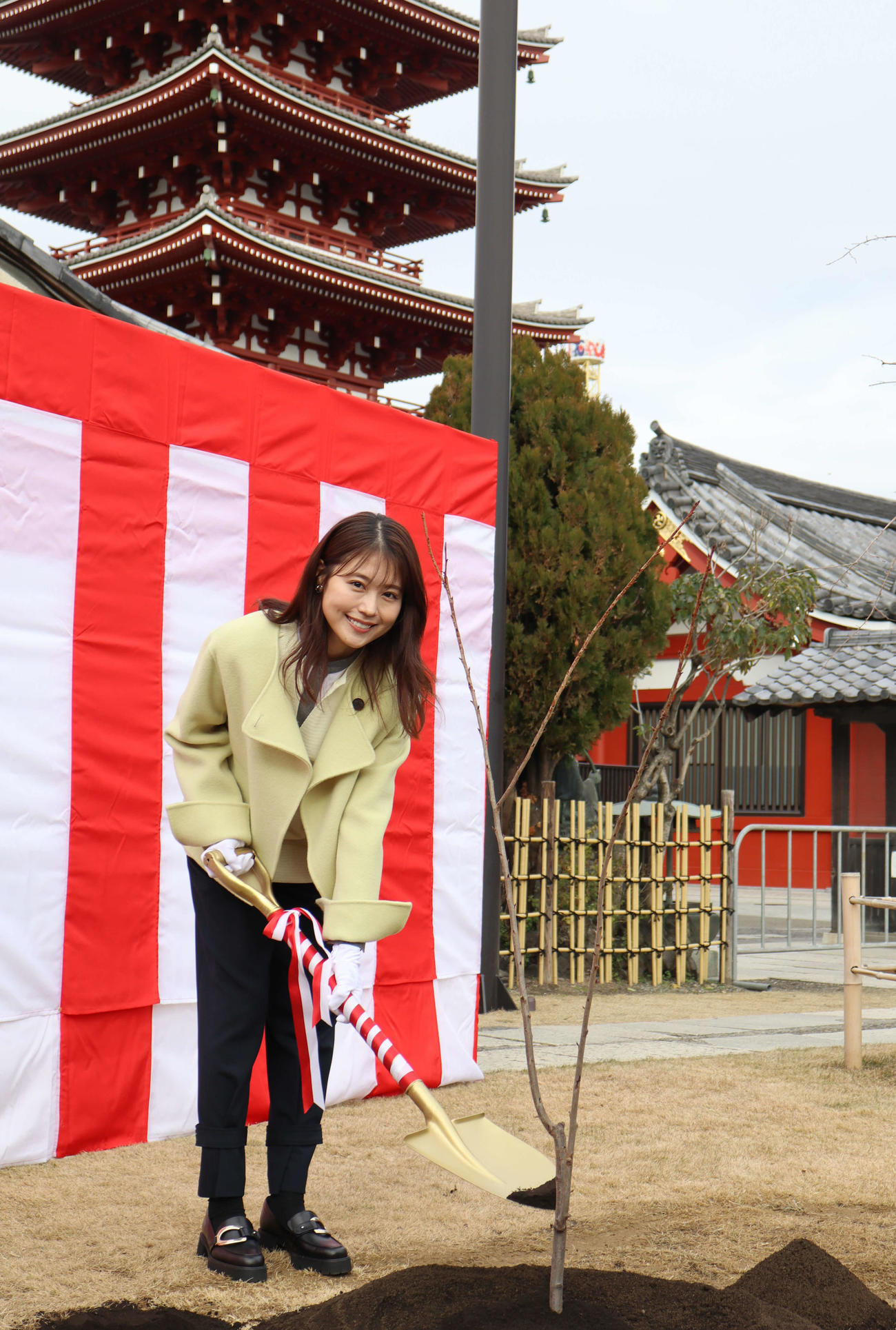 浅草寺で桜の植樹を行う有村架純