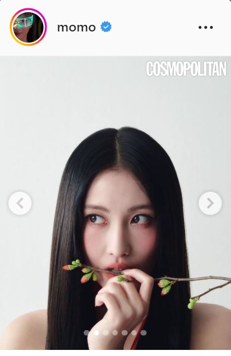 モモのインスタグラムより