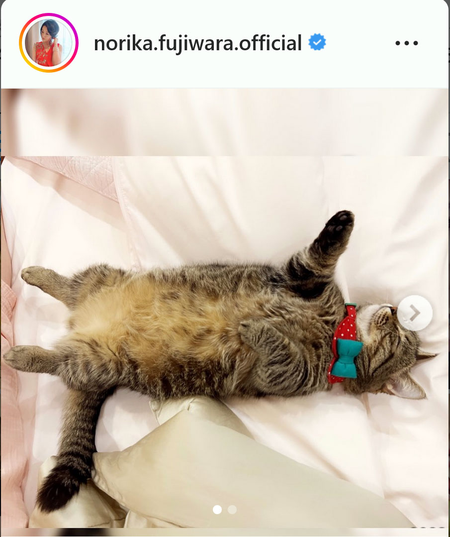 藤原紀香のインスタグラムより