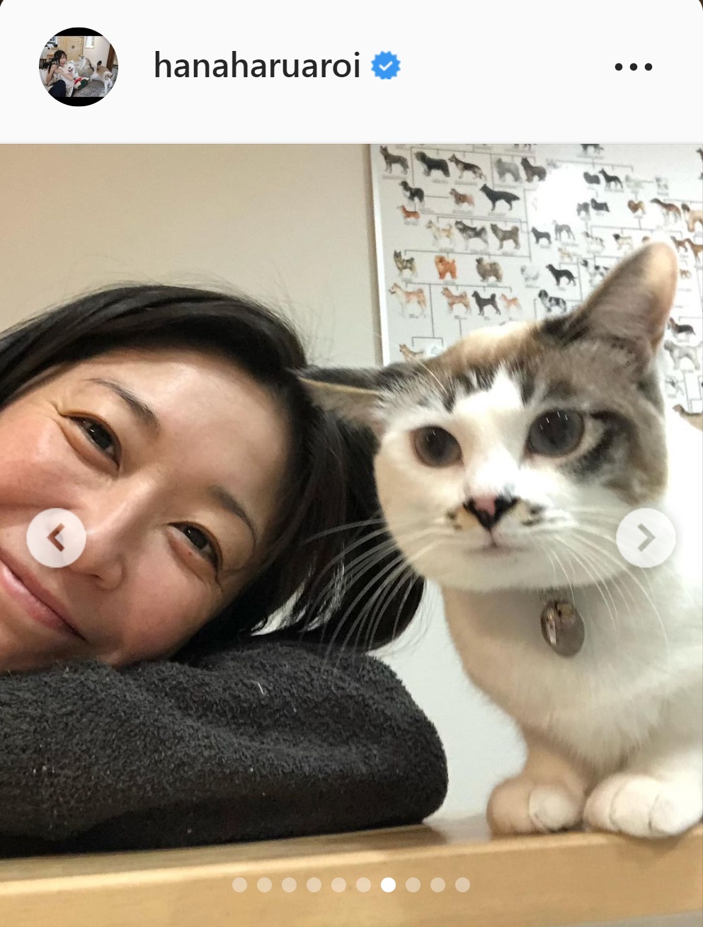 愛猫と戯れる小野真弓（小野真弓のインスタグラムより）