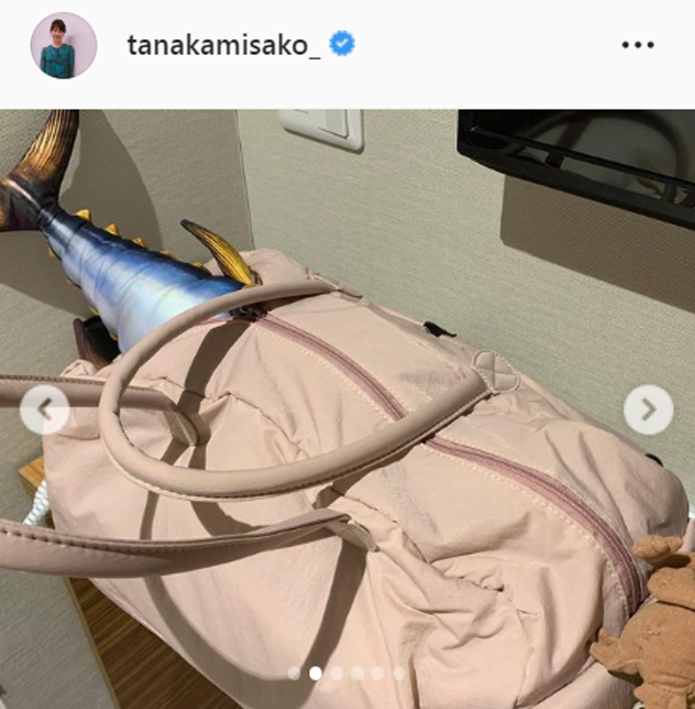田中美佐子のインスタグラムより