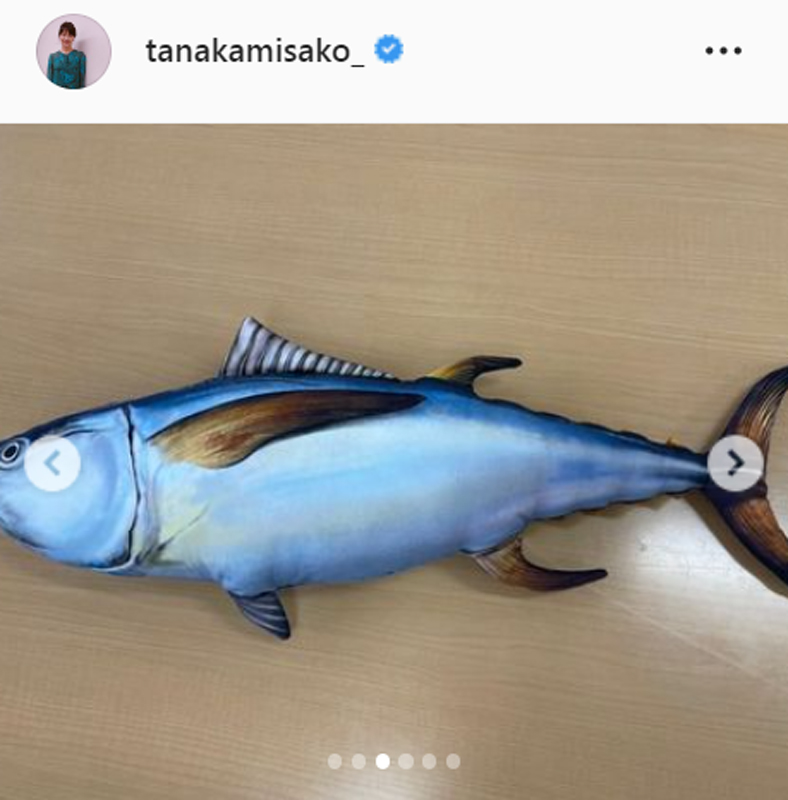 田中美佐子のインスタグラムより