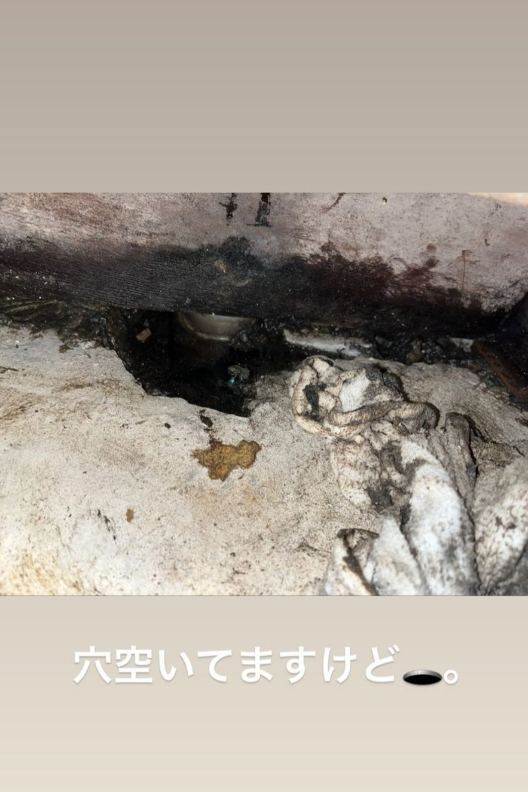 小森純のインスタグラムより