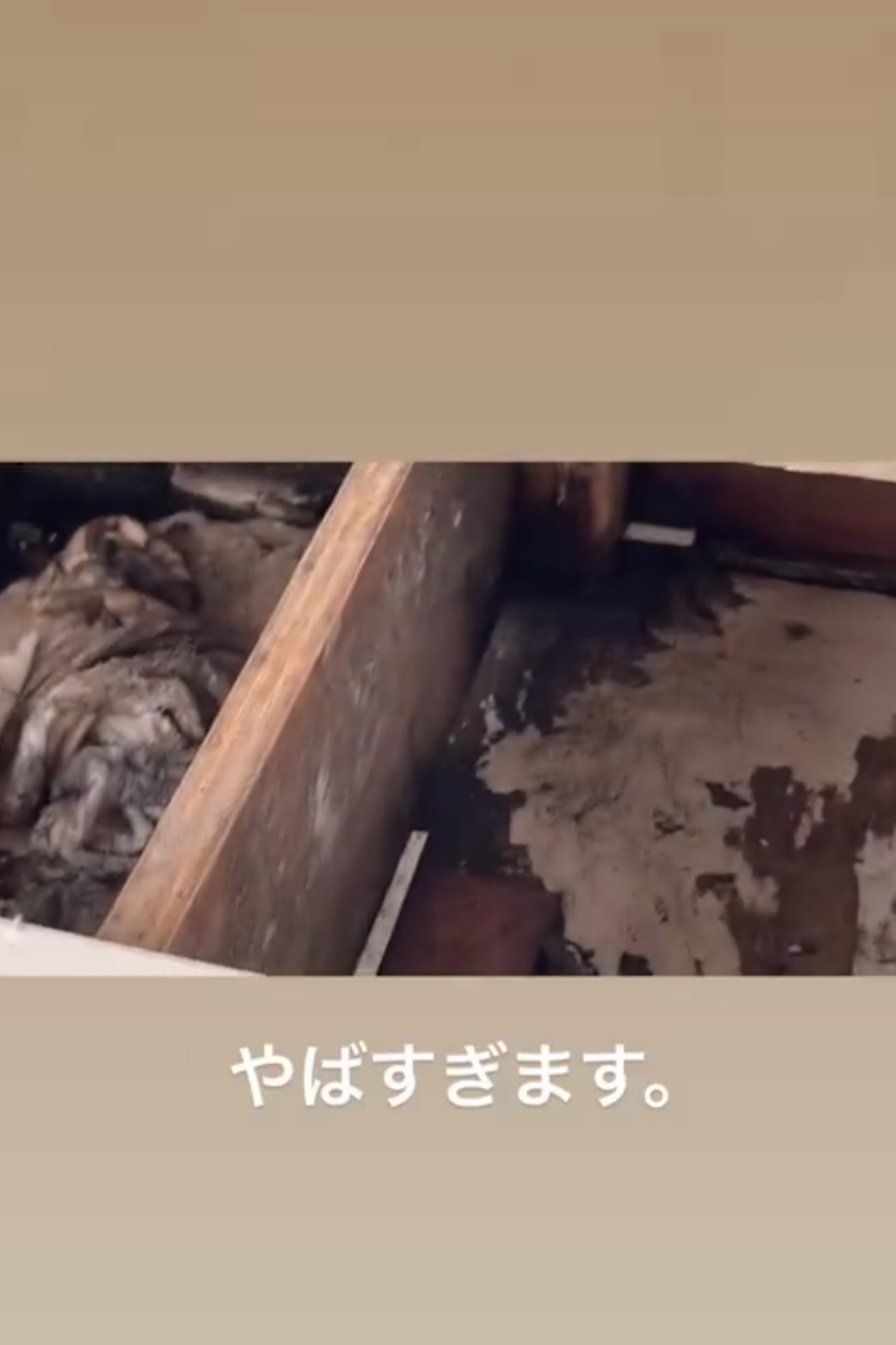 小森純のインスタグラムより