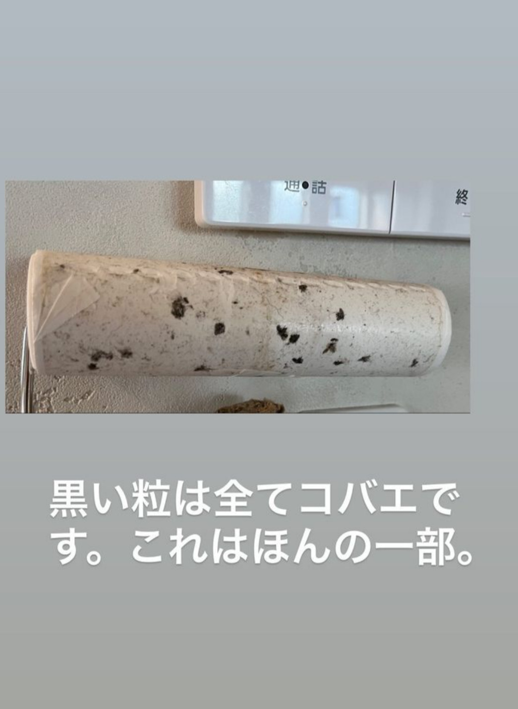 小森純のインスタグラムより