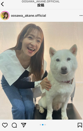 大沢あかねのインスタより