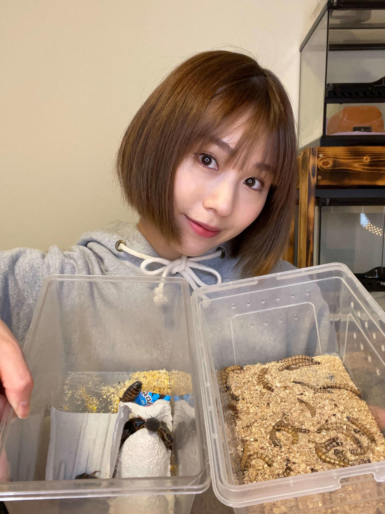 荒川真衣が自宅で飼うゴキブリの一種、デュビア（左）とミルワーム