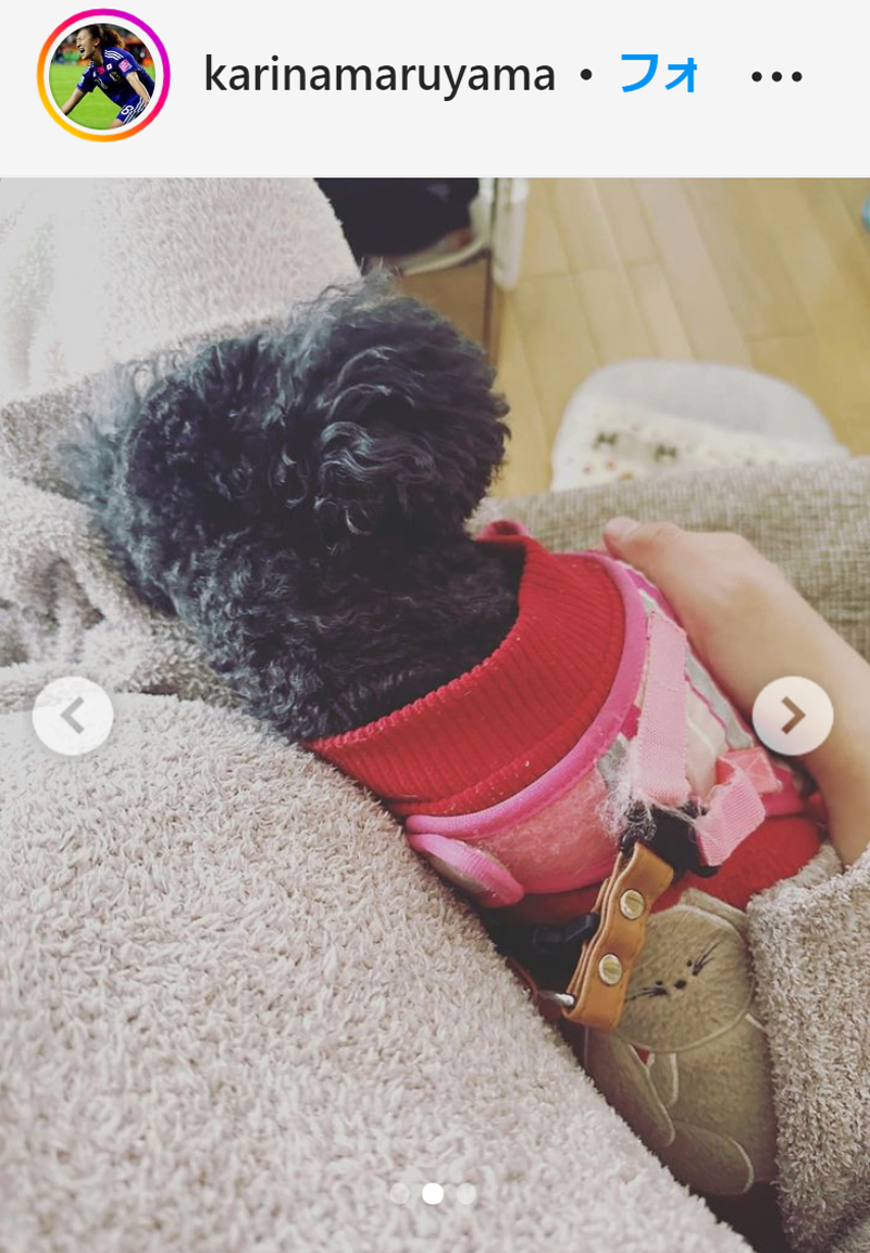 丸山桂里奈の愛犬スモモちゃん（丸山桂里奈のインスタグラムより）