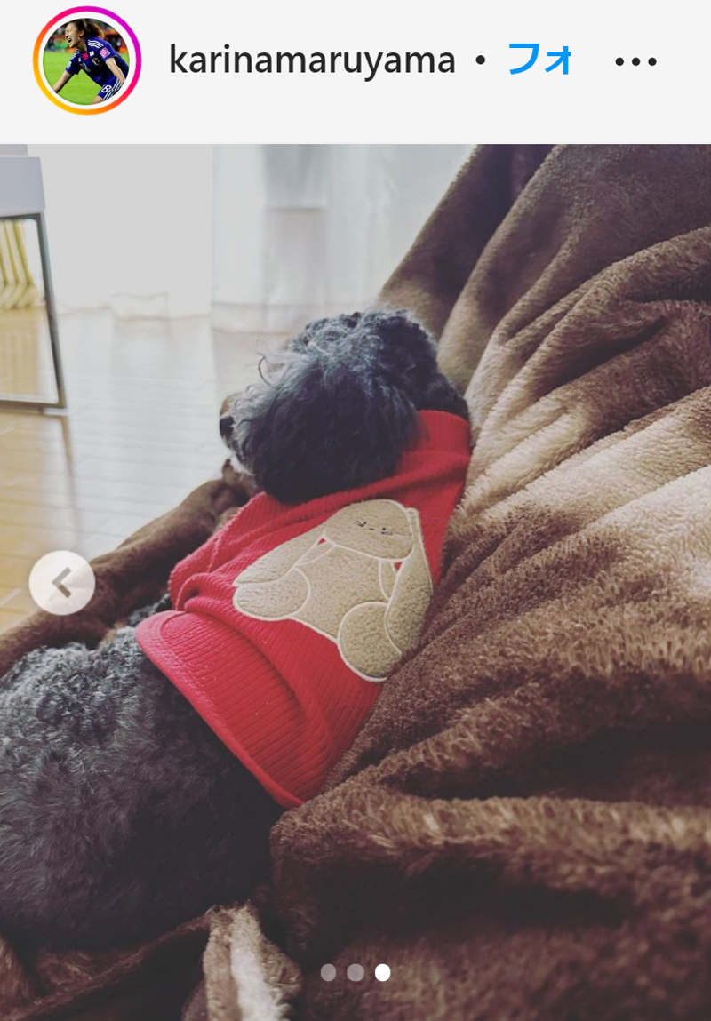 丸山桂里奈の愛犬スモモちゃん（丸山桂里奈のインスタグラムより）