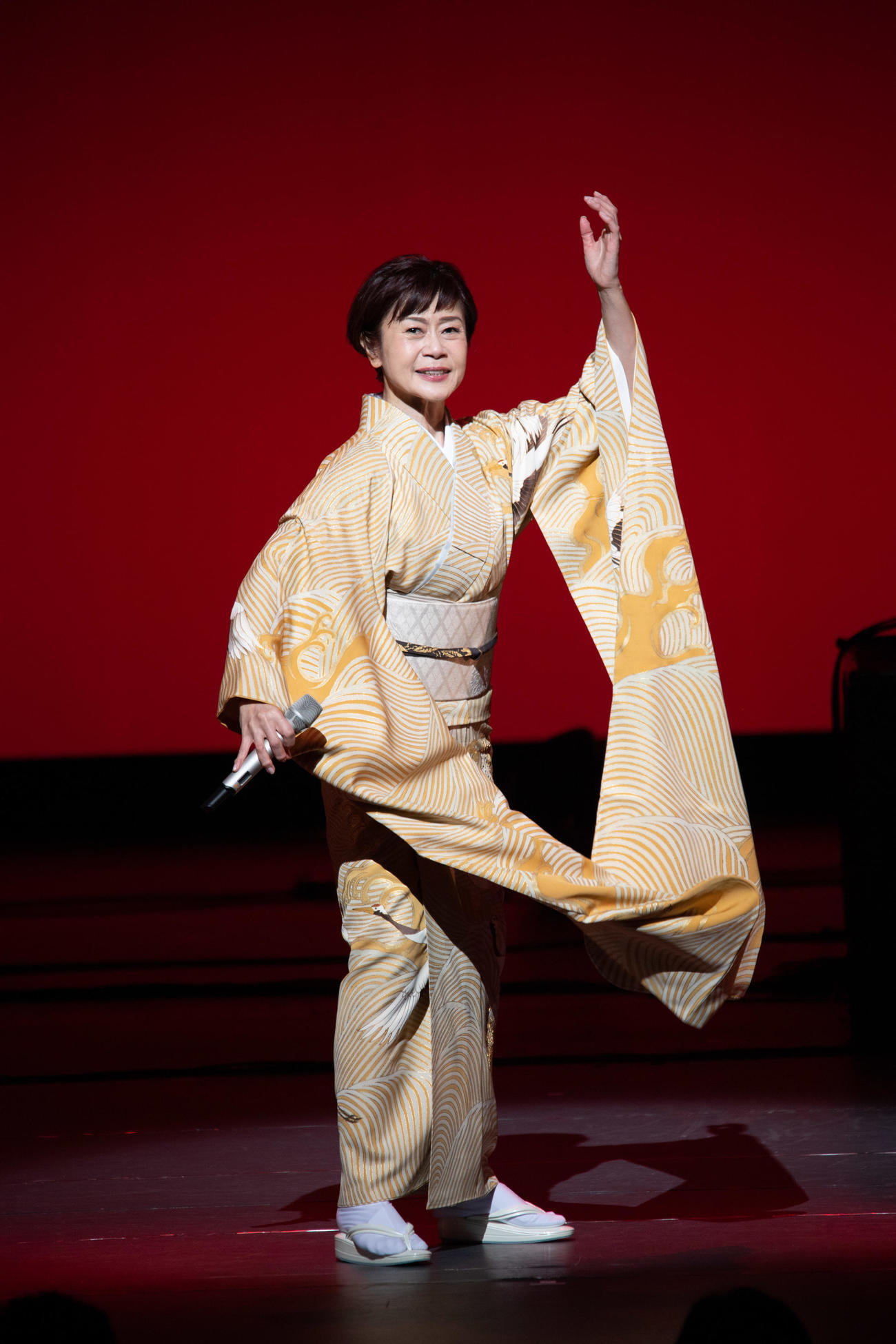 「デビュー40周年リサイタル」第二部で演歌や自身のオリジナル楽曲を熱唱する神野美伽