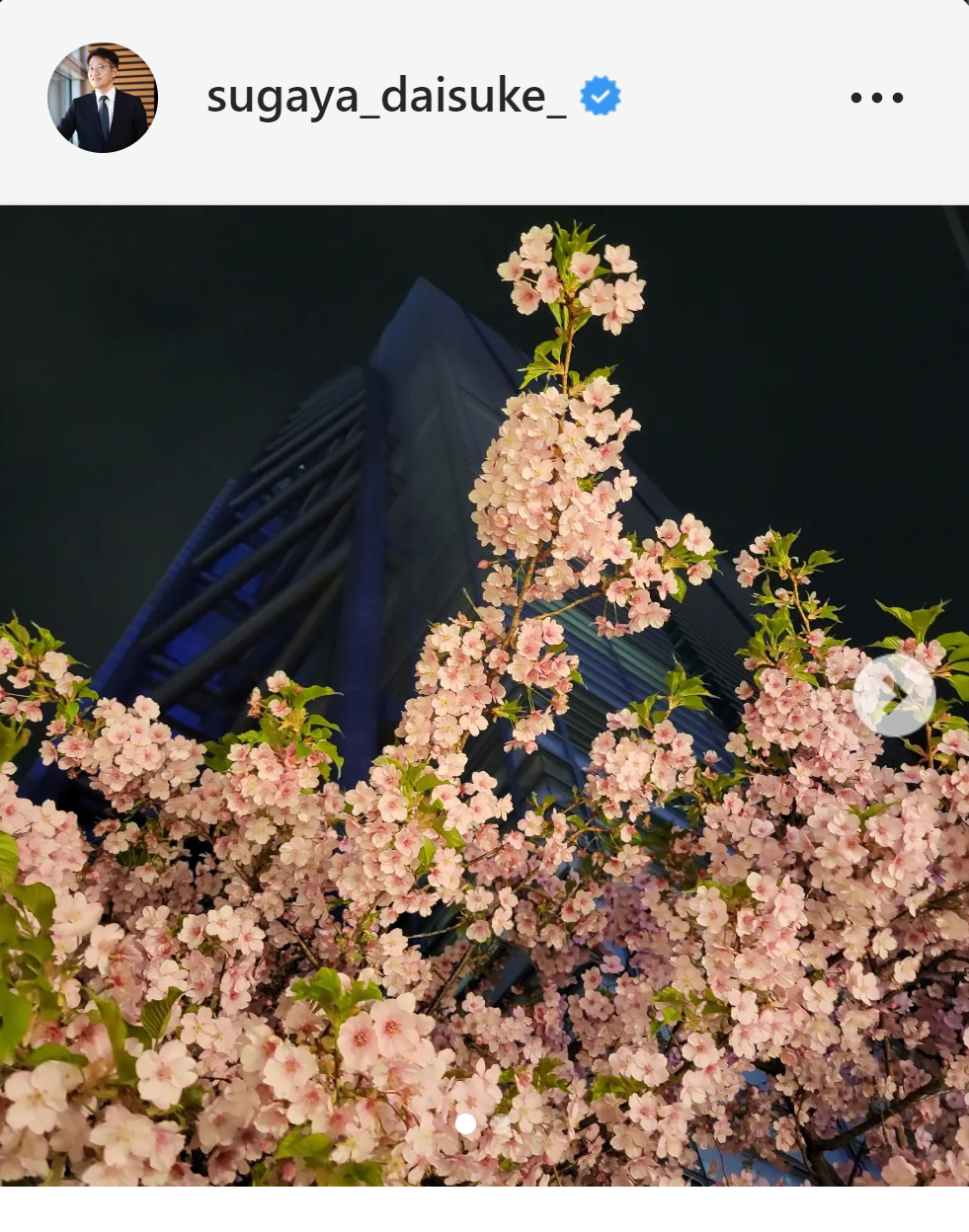 日本テレビ社屋をバックに咲く梅の写真（菅谷大介アナウンサーのインスタグラムより）