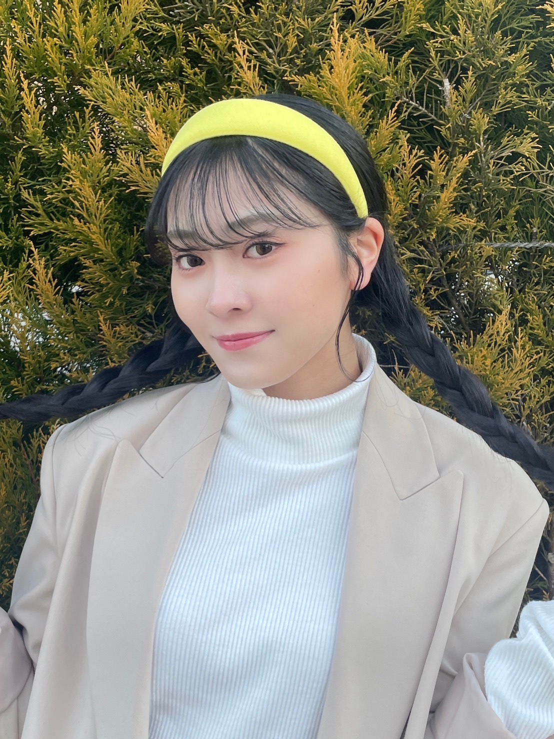 北美梨寧