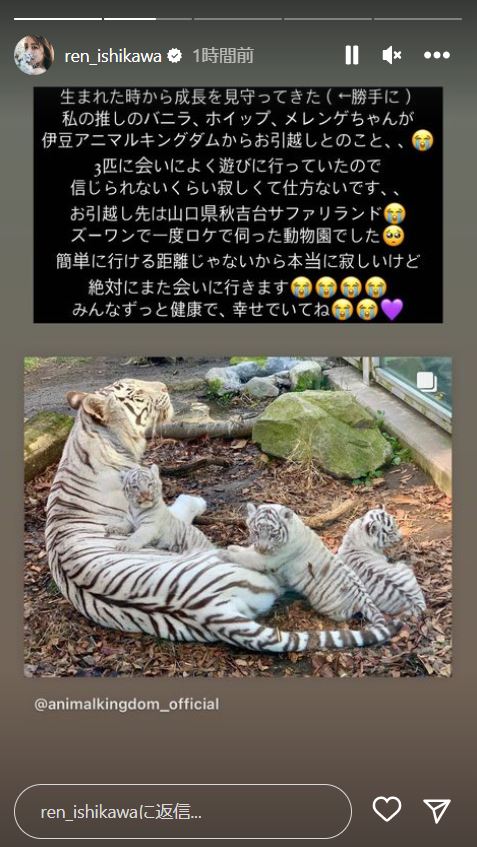 石川恋のインスタグラムより