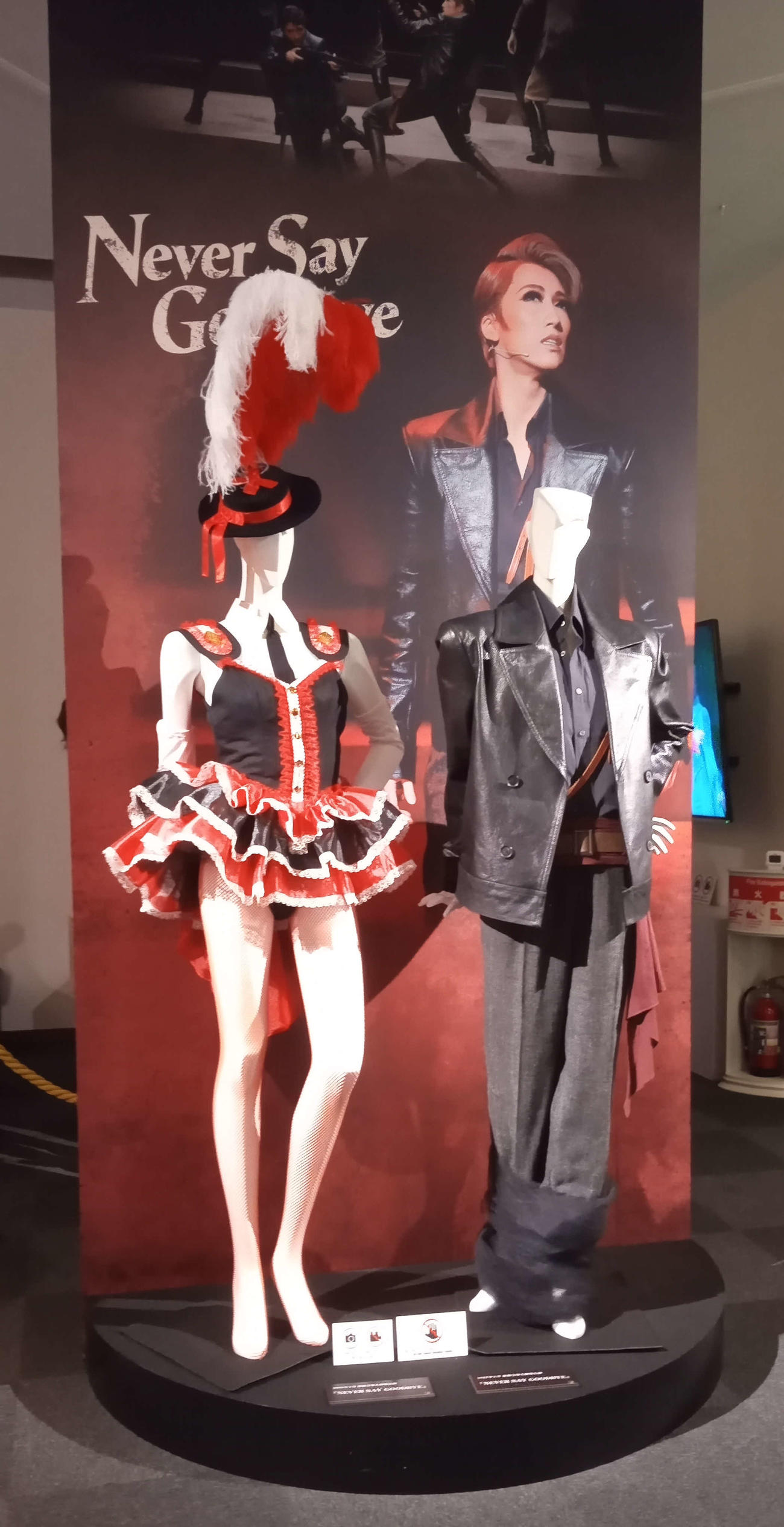 「NEVER SAY GOODBYE」初舞台衣装も展示（撮影・村上久美子）