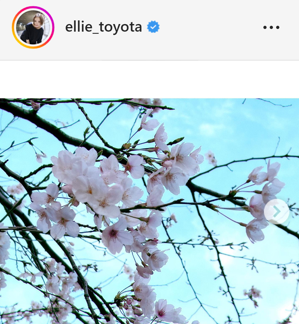 豊田エリーのインスタグラムから