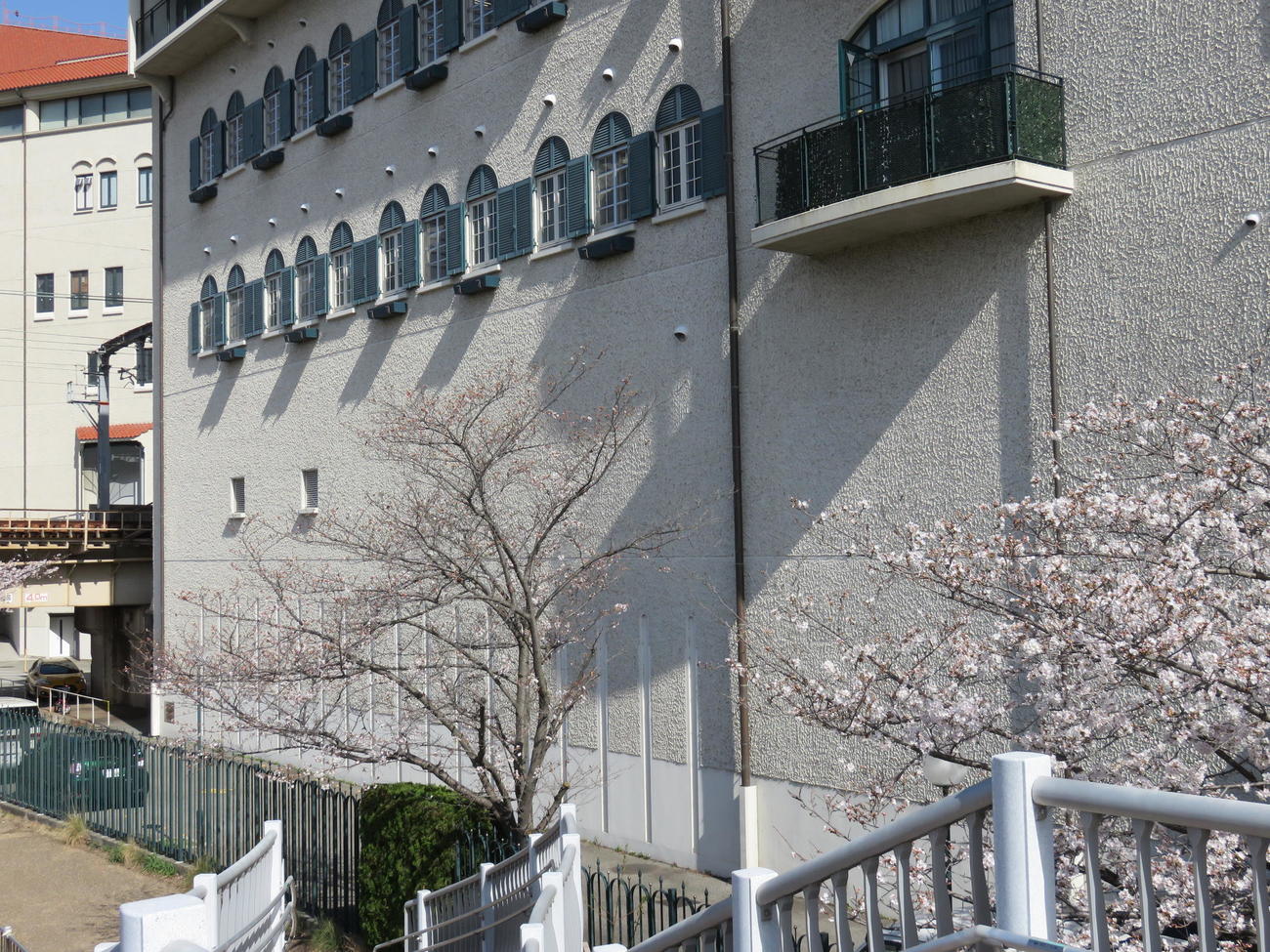 コロナ禍以前は合格者のパネル掲示が行われていた校舎裏（撮影・村上久美子）