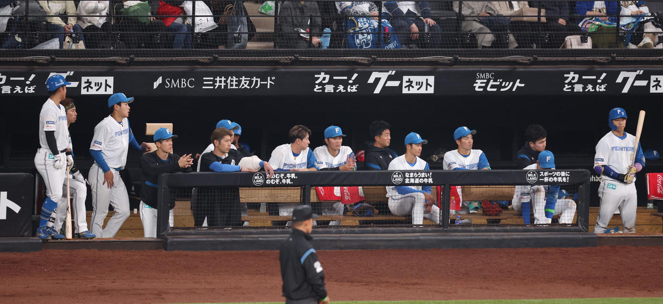日本ハム対楽天　意気消沈の日本ハムベンチ（撮影・佐藤翔太）