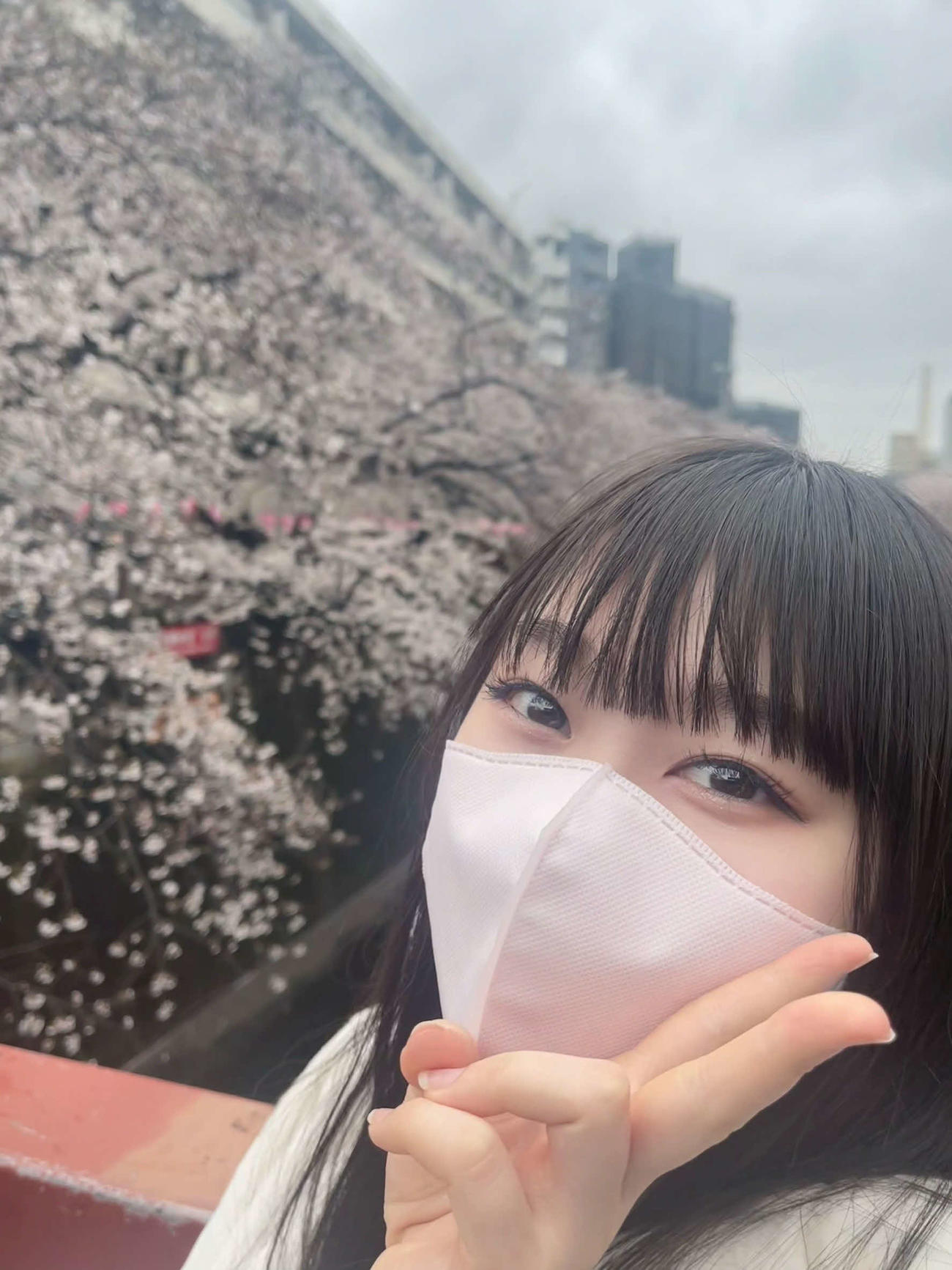 きれいな桜を見ていると、心がすごく落ち着くんですよね