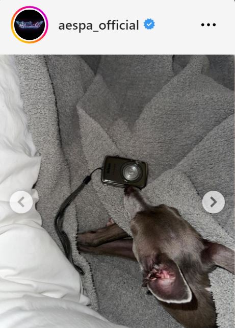 GISELLEのインスタグラムから