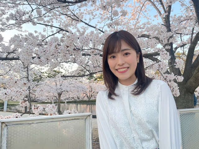 桜が満開の新潟市・白山公園で。この一瞬のために懸命に、壮麗な姿を見せる桜をみていると元気が出てきます