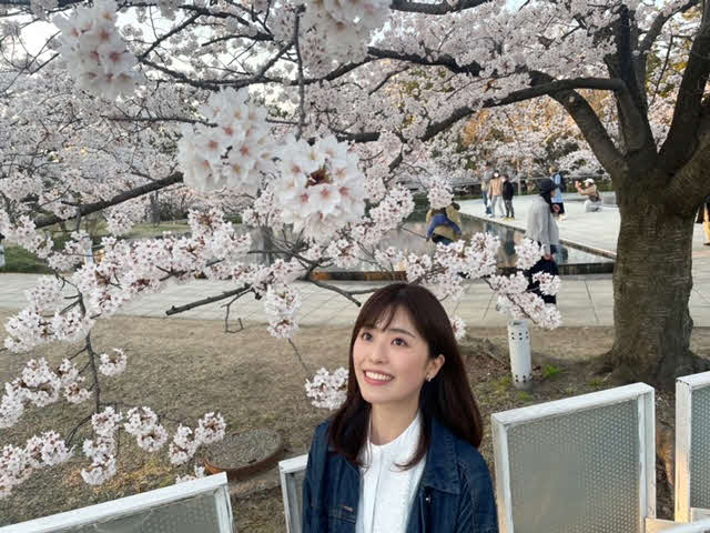桜が満開の新潟市・白山公園で。この一瞬のために懸命に、壮麗な姿を見せる桜をみていると元気が出てきます