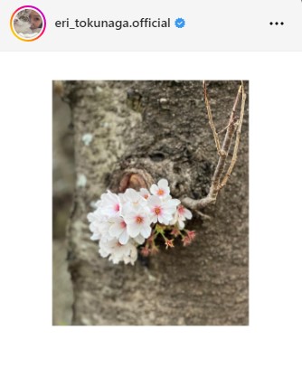 徳永えりのインスタグラムから