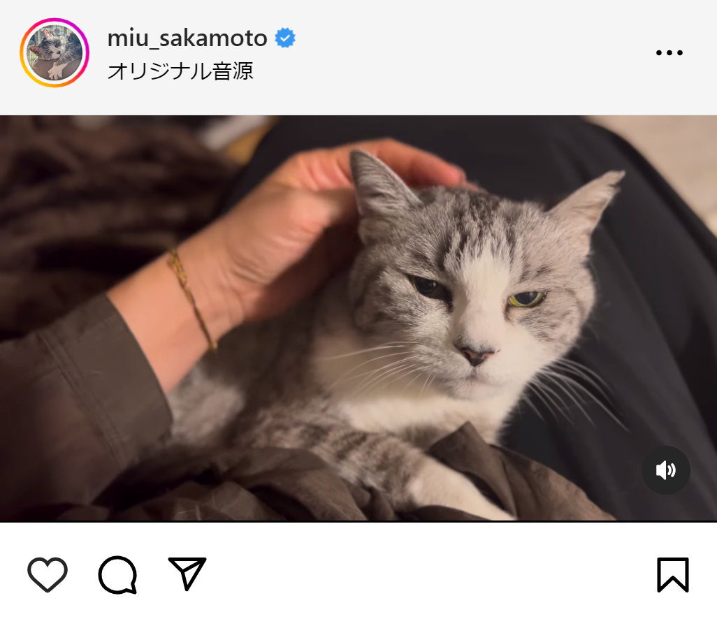 坂本美雨のインスタグラムから