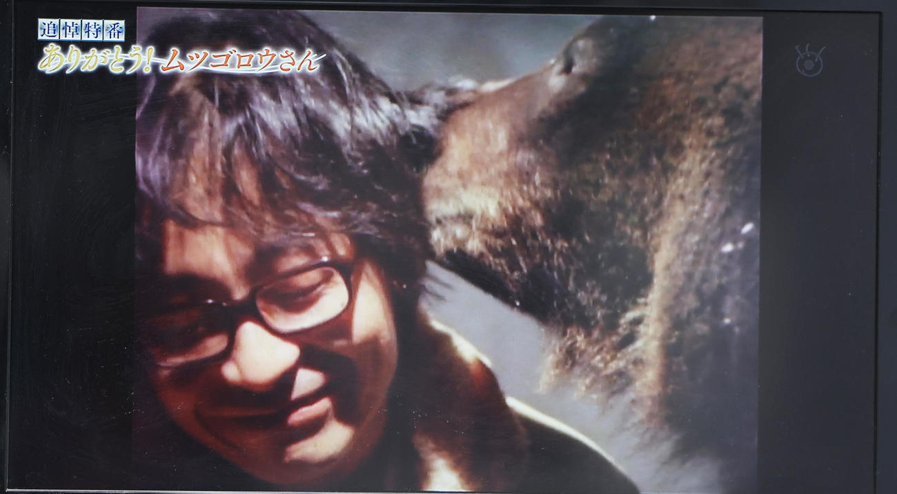 追悼番組「ありがとう！ムツゴロウさん」で熊とたわむれるムツゴロウさん（フジテレビから）