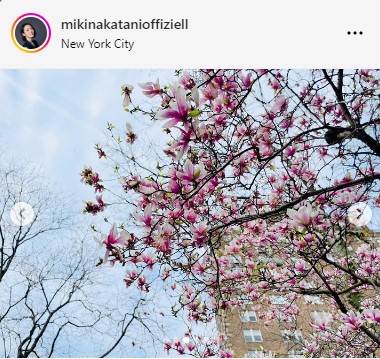 中谷美紀のインスタグラムから